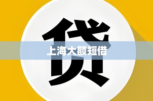 上海大额短借 上海大额短借