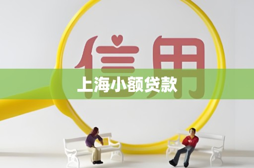 上海小额贷款